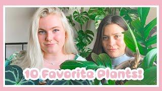 My 10 Favorite House Plants In Harli G's Plant Collection!!!