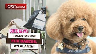 Talentadong fur babies, kilalanin! | Good News