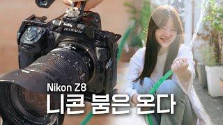 니콘 Z8을 쓰는 이유 | Nikon Z8 실사용 후기