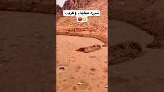 الرمال المتحركه