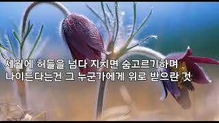 조항조 - 나이가 든다는 건