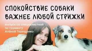 Спокойствие собаки важнее любой стрижки. Выпуск об этичном груминге