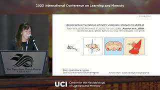 Kay Tye, PhD - Associative learning: Solving the valence assignment problem