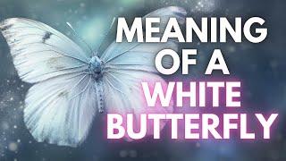 Meaning of butterfly - Find Out The Meaning Of White Butterfly (It Will Surprise You!)