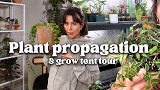 Late night plant care, propagation, & grow tent tour! + a collective plant home thrift shop haul