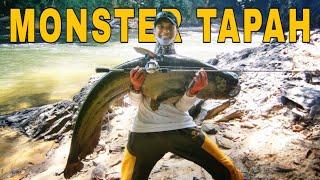 CASTING TAPAH MONSTER | Wallago Leerie 55,56 lbs - Danz Perdana