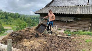 Life in the mountains, far from civilization, lives a young guy who keeps agriculture,