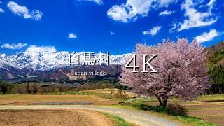 [Hakuba Village Spring/Summer/Autumn/Winter] most beautiful village in Japan - JAPAN in 4K