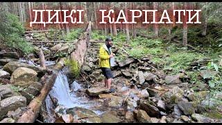 ДИКІ КАРПАТИ