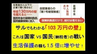 サルでもわかる「103万円の壁」　～生活保護費も1.5倍以上に増やそうよ　#政治 #れいわ新選組 #103万円の壁 #参院選 #自民党 #子育て #国民民主党 #大学生 #日本 #教育 #sdgs