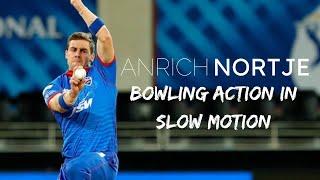 Anrich Nortje Bowling Action | In Slow Motion | 2021 | Tarush Cricket