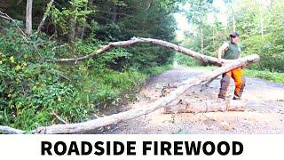 Collecting Roadside Firewood for Winter Supply - Felling, Bucking, and Splitting