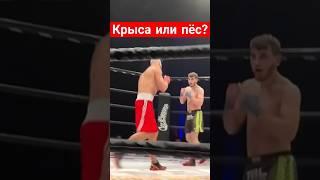 Опишите одним словом... #mma #мма #поступок #удар #нокаут #крыса