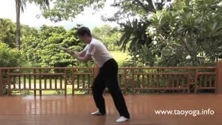 Tai Chi Wu Style by Walter Kellenberger