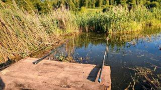 Сделал рыбацкий мостик на самодельном пруду. Первый улов на удочку