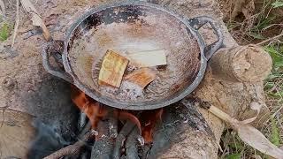 menyusuri hutan ,masak terong di hutan bushcraft #bushcraft #petualang #masakdialam