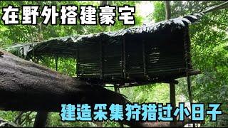 一口气看完，原始森林生存挑战，建造采集狩猎过小日子