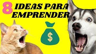 Como EMPRENDER con PASTELERIA CANINA Y FELINA