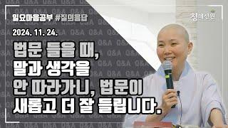 2024.11.24. [청혜선원] 일요공부ㅣ질의응답 시간 "법문 들을 때, 말과 생각을 안 따라가니, 법문이 새롭고 더 잘 들립니다.  "