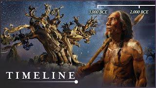 The Oldest Living Thing In The World: The Mysterious Methuselah Tree | Oldest Tree | Timeline