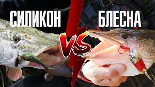 Блёсны vs Силикон. На что ловить щуку осенью? Дарим приманки подписчикам.