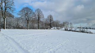 Winter in Luxembourg ️ | Ending 2020 with snow  