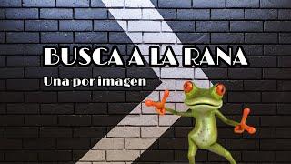 BUSCA A LA RANA CritterGames