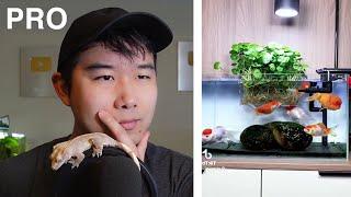 What Could GO WRONG?! | Fish Tank Review 182