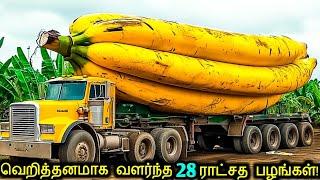 வினோதமான 28 பழங்கள் காய்கறிகள்! | Amazing Fruits & Vegetables In The World | Tamil Ultimate