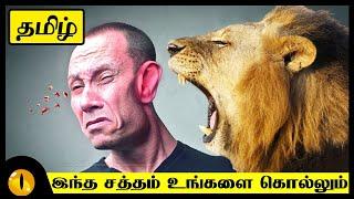 உலகத்தில்  அதிகமாக  சத்தம் போடும் மிருகங்கள் | Loudest Animals in the World | Animaltube.TV Tamil