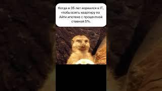 Есть тут такие? #недвижимость2024 #realestate #квартираванапе #недвижимость #купитьквартируванапе