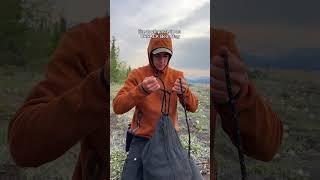 Backcountry bear safety 