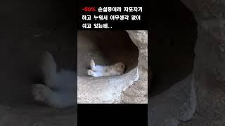 #주식 #주식투자 자포자기 #shorts