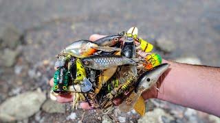 I found a $140 worth of free fishing lures!