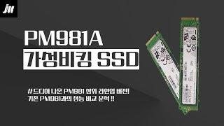 드디어 한국에 왔다!! 삼성 [PM981a] SSD 리뷰!!