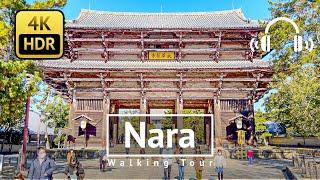 [4K/HDR/Binaural] Nara Walking Tour - Nara Japan