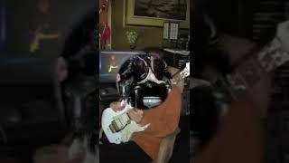 Steve Vai featuring Pushking_ My reflections after seeing the Shindler_s list movie