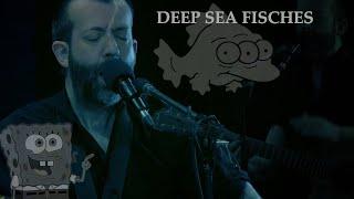 Deep sea Fisches (live)