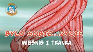 Bylo Sobie... Zycie  - Mięśnie i tkanka tłuszczowa 