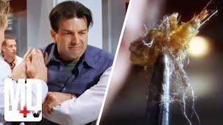 Detoxing House Finds a Termite and a Punch in the Face | House M.D | MD TV