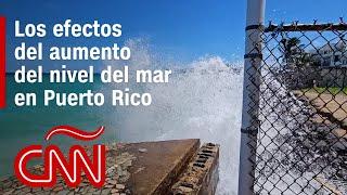 Los efectos del aumento del nivel del mar en Puerto Rico