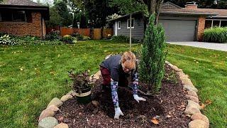 Transplanting Limelight Hydrangea ~ Planting Spilled Wine Weigela ‍🪴// Suburban Oasis