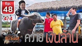 Thai Buffalo ควายไทยเงินล้าน - เพื่อนรักสัตว์เอ้ย EP 48 (4/4)