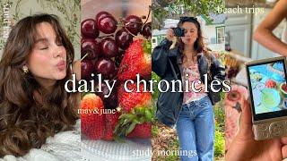 daily chroniclestea party,study mornings, beach trips, farmers market