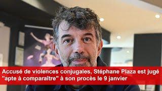 Accusé de violences conjugales, Stéphane Plaza est jugé apte à comparaître à son procès le 9 janvier