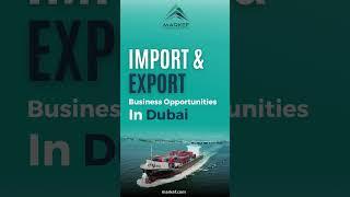 Import and Export Business Opportunities in Dubai