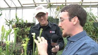Ranger Nick: Venus Flytraps & Other Carnivorous Plants