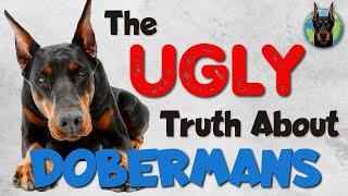 Doberman Ownership Exposed: 5 Annoying Habits of These Dogs!