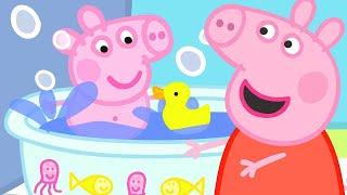 Peppa Pig Italiano  Peppa incontra il piccolo Alex - Collezione Italiano - Cartoni Animati