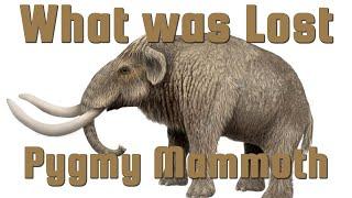 Pygmy Mammoth - The Channel Islands Mammoth - What Was Lost Ep.5